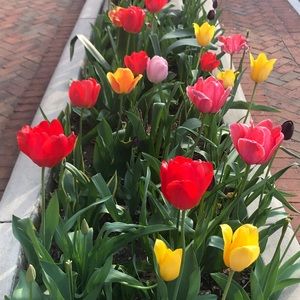 Meet your Posher, Stacey